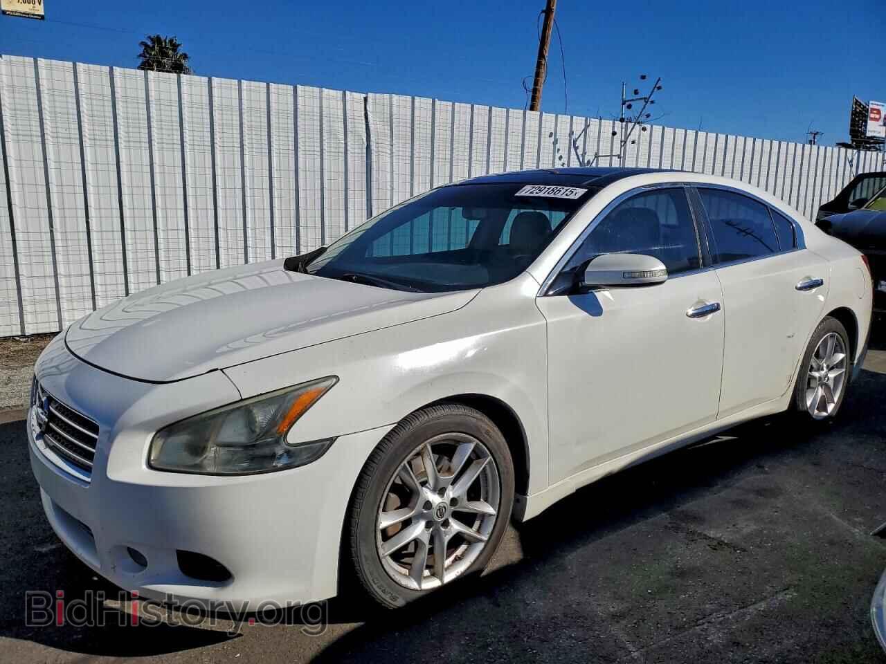 Photo 1N4AA5APXBC845634 - NISSAN MAXIMA 2011