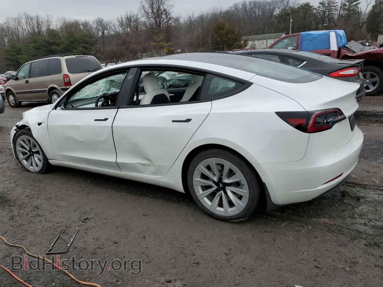 2021 TESLA MODEL 3 - VIN: 5YJ3E1EA0MF087038 - Photo 2