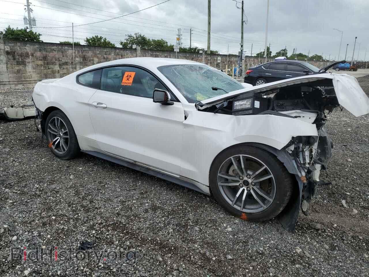 2017 FORD ALL Models - VIN: 1FA6P8TH5H5249498 - Photo 4