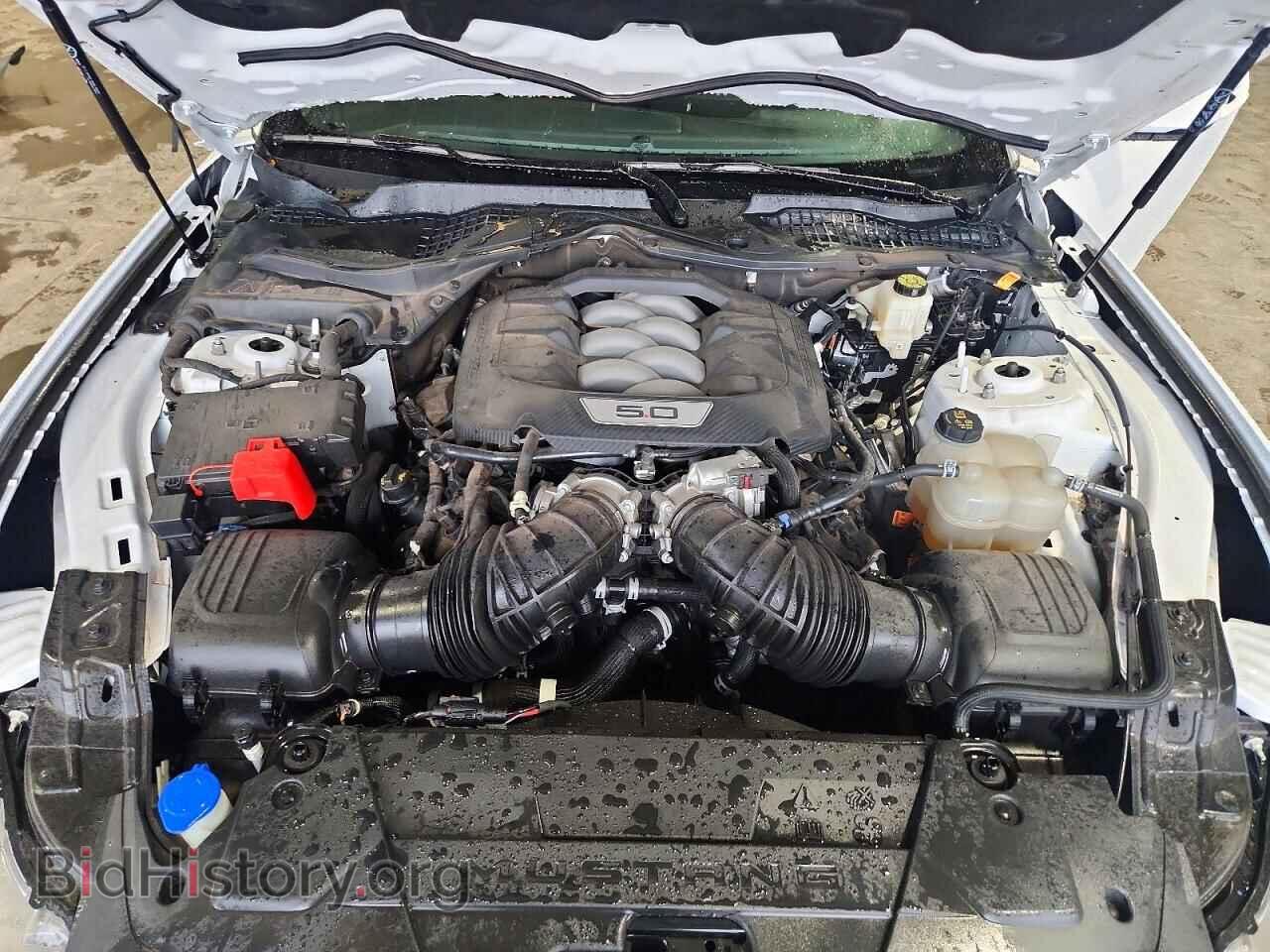 2024 FORD MUSTANG - VIN: 1FA6P8CF2R5410017 - Фото 11