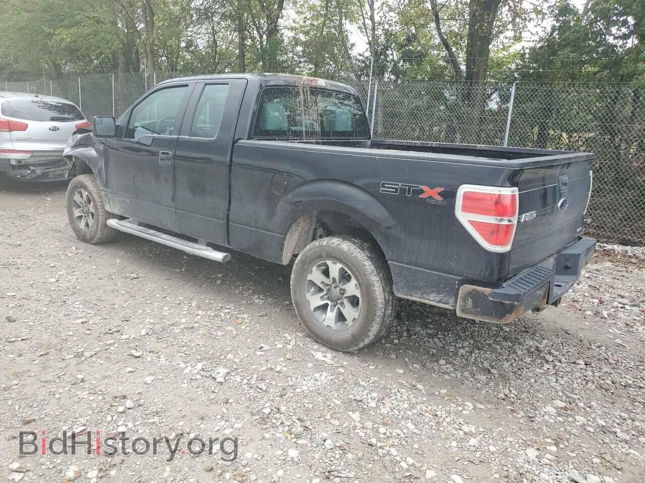 2013 FORD F-150 - VIN: 1FTFX1EF1DFD39765 - Фото 2
