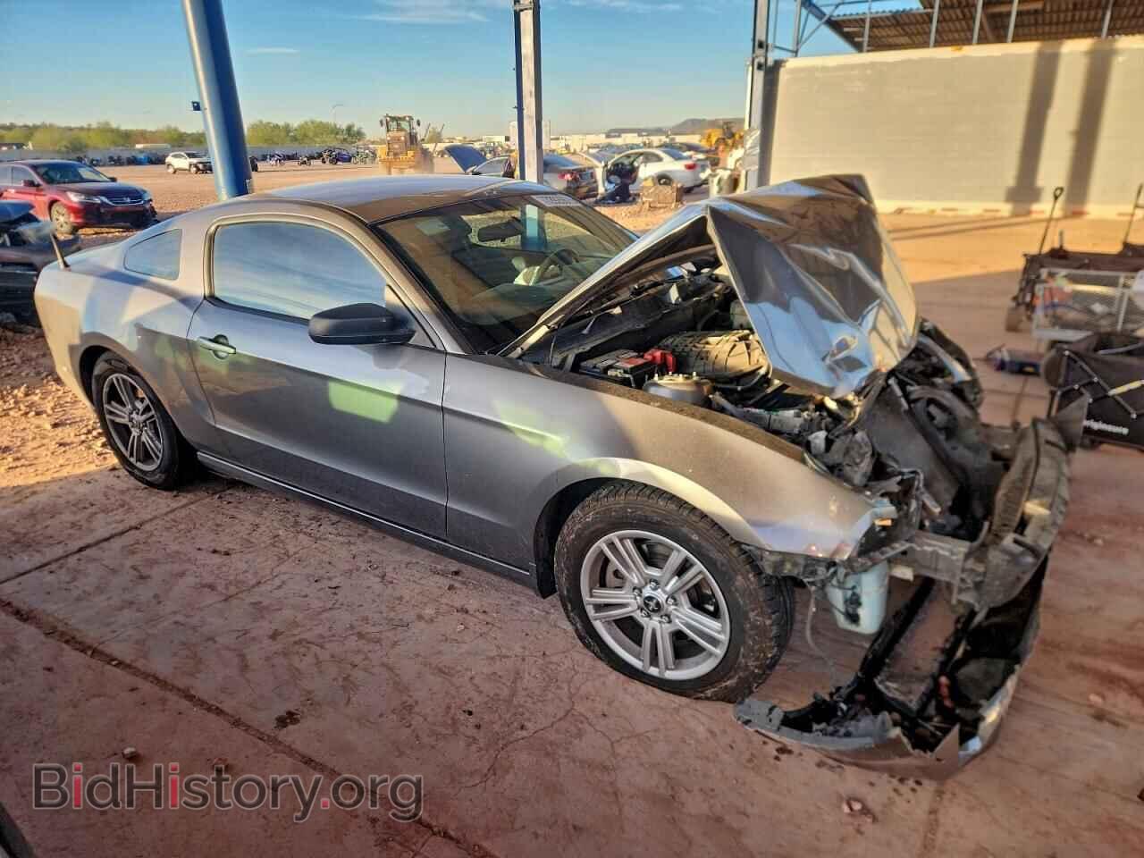 2013 FORD ALL Models - VIN: 1ZVBP8AM9D5251576 - Фото 4
