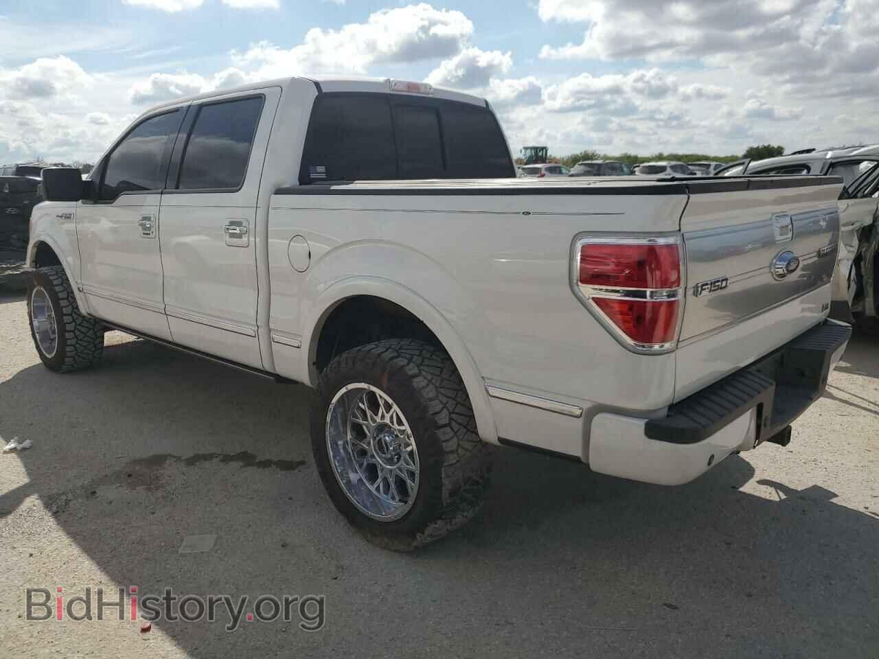 2010 FORD F-150 - VIN: 1FTFW1CV3AFB75699 - Фото 2