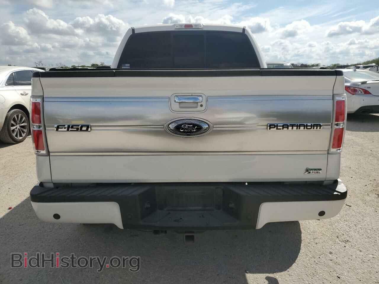2010 FORD F-150 - VIN: 1FTFW1CV3AFB75699 - Фото 6
