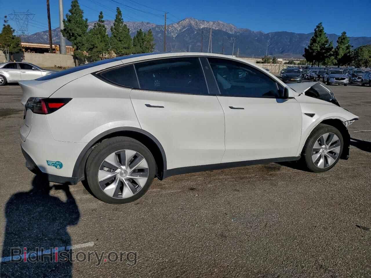 2024 TESLA MODEL Y - VIN: 7SAYGDEE2RF057893 - Фото 3