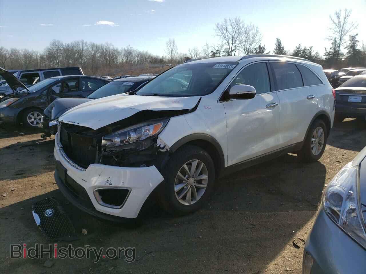Photo 5XYPG4A36GG053882 - KIA SORENTO 2016