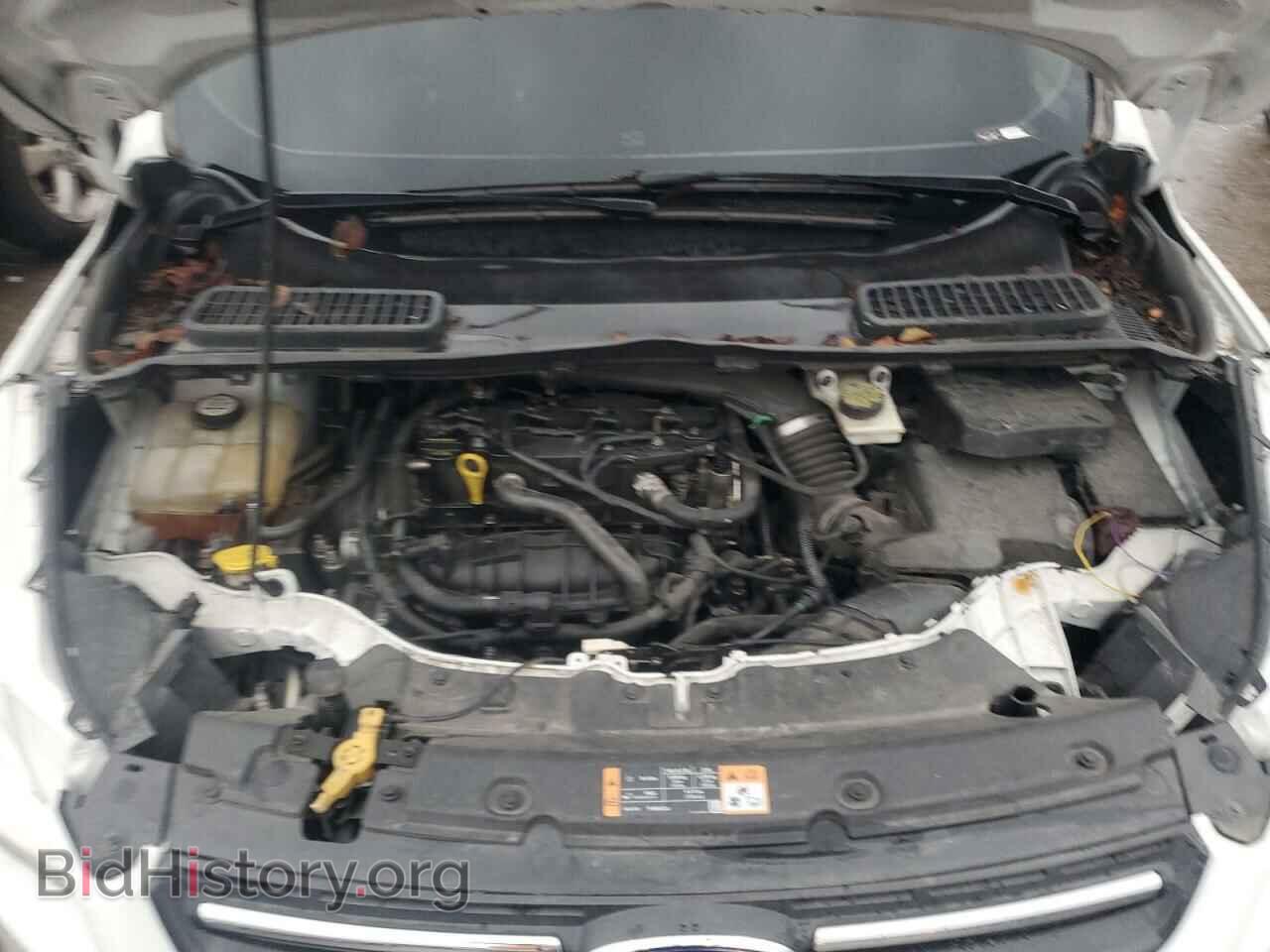 2014 FORD ESCAPE - VIN: 1FMCU0GX4EUD38548 - Фото 12
