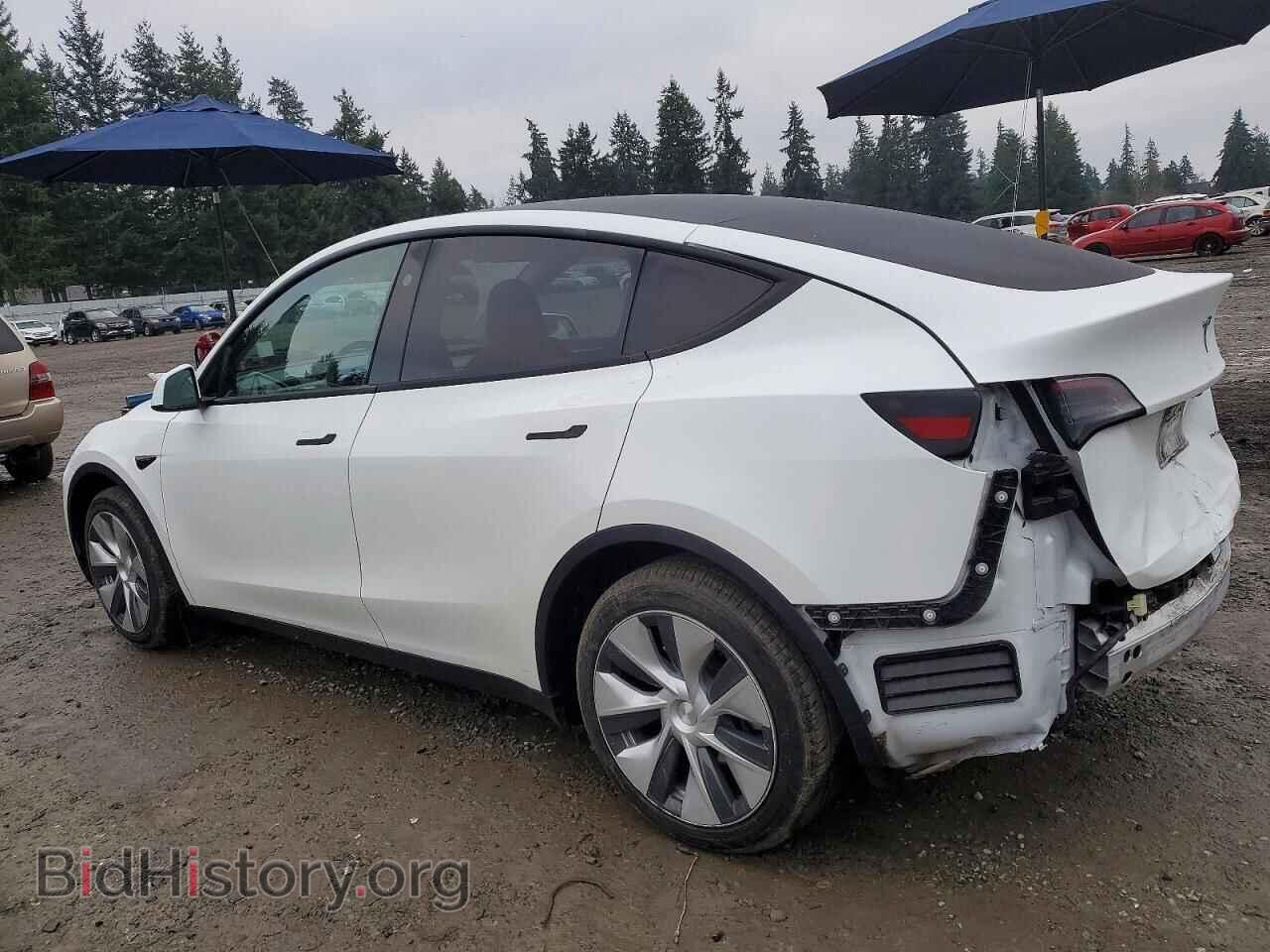 2024 TESLA MODEL Y - VIN: 7SAYGAEE0RF984096 - Фото 2