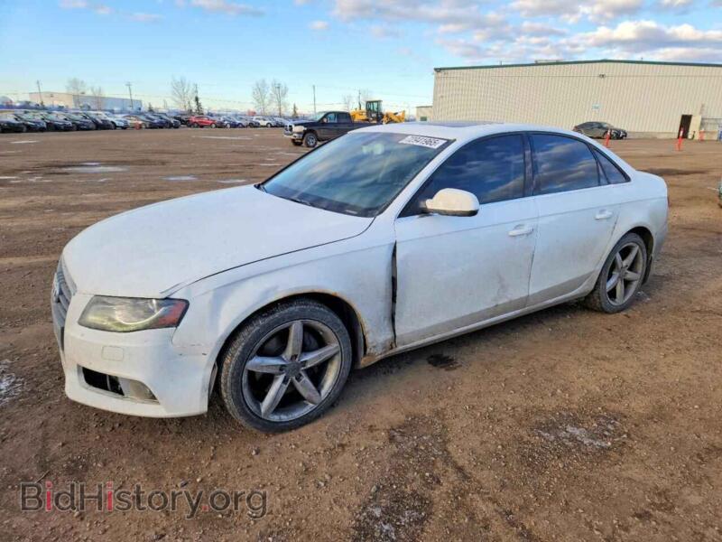 2011 Audi A4 Premium Plus (VIN WAUFFCFLXBN006256) — фото 1 из 12, Copart, повреждение: передняя часть