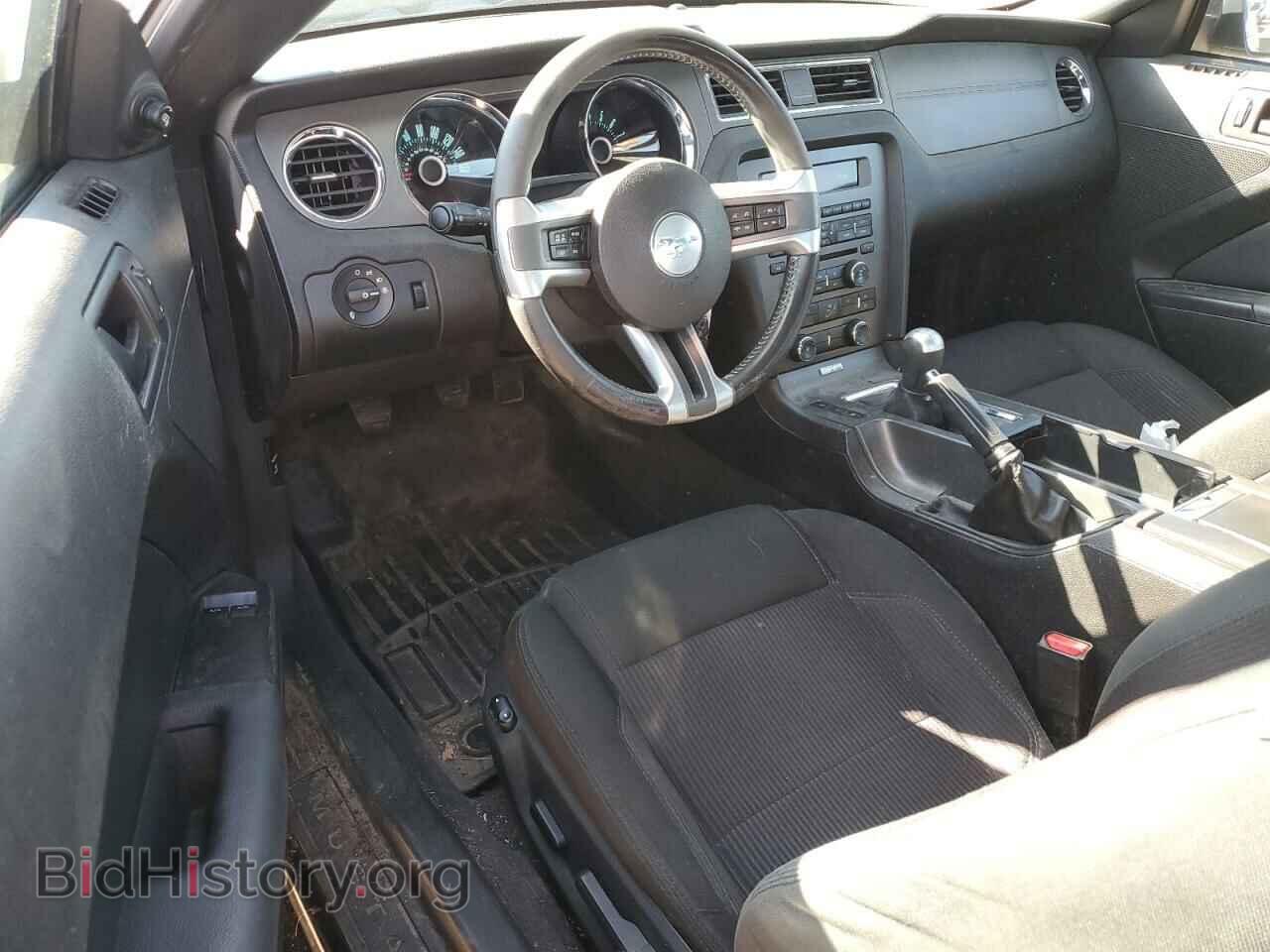 2013 FORD ALL Models - VIN: 1ZVBP8AM8D5246448 - Фото 8