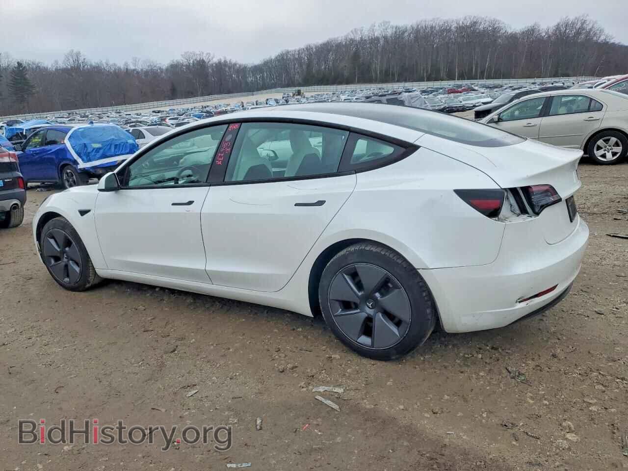2023 TESLA MODEL 3 - VIN: 5YJ3E1EA7PF507446 - Photo 2