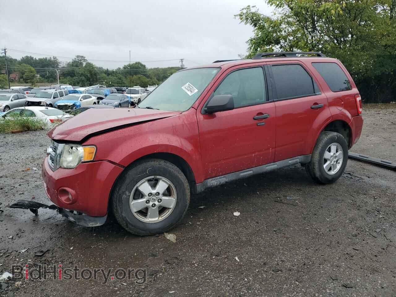 Фотография 1FMCU0DG9BKA36846 - FORD ESCAPE 2011