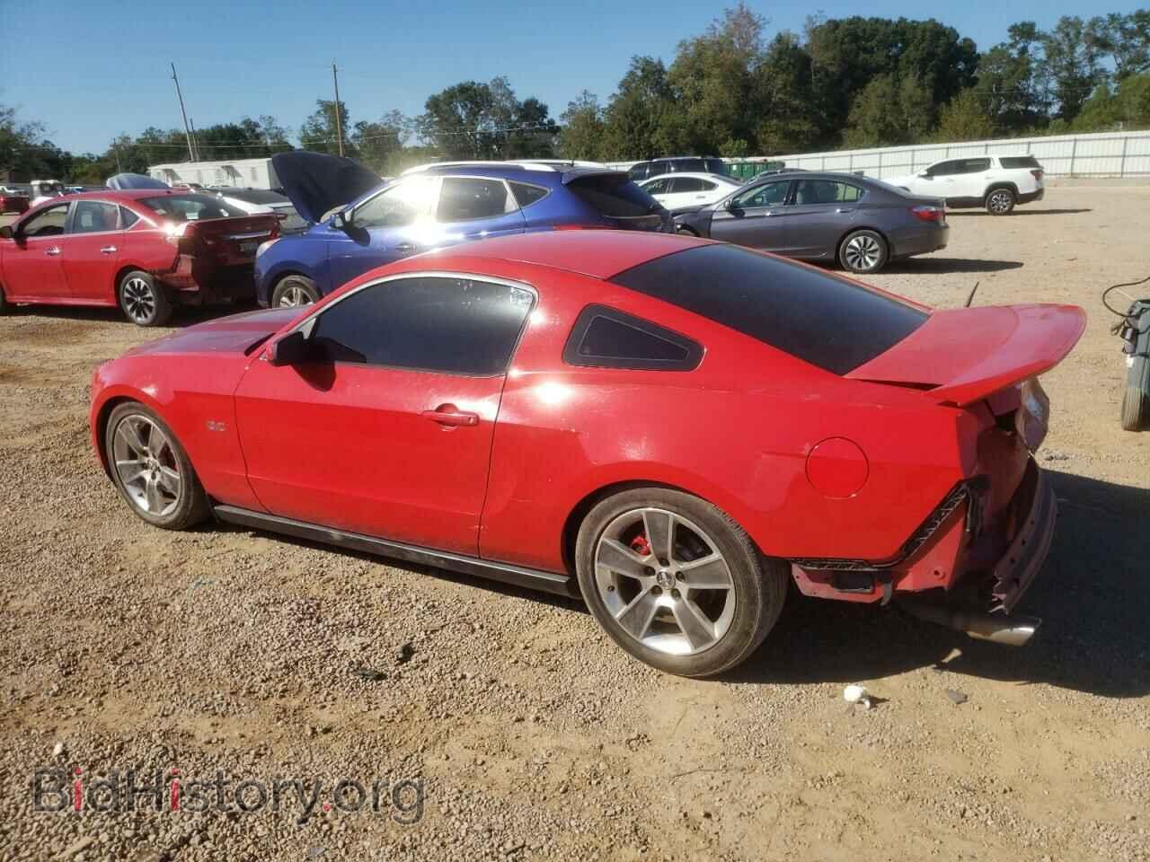 2010 FORD MUSTANG - VIN: 1ZVBP8CH8A5119517 - Фото 2
