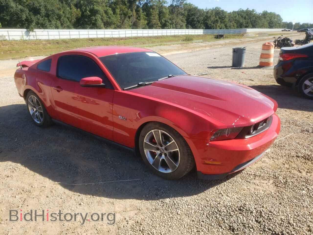 2010 FORD MUSTANG - VIN: 1ZVBP8CH8A5119517 - Фото 4