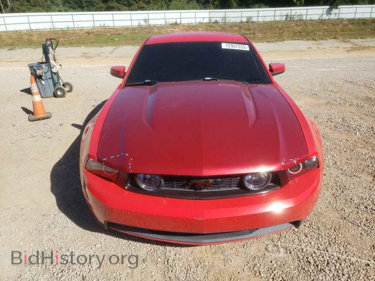 2010 FORD MUSTANG - VIN: 1ZVBP8CH8A5119517 - Фото 5