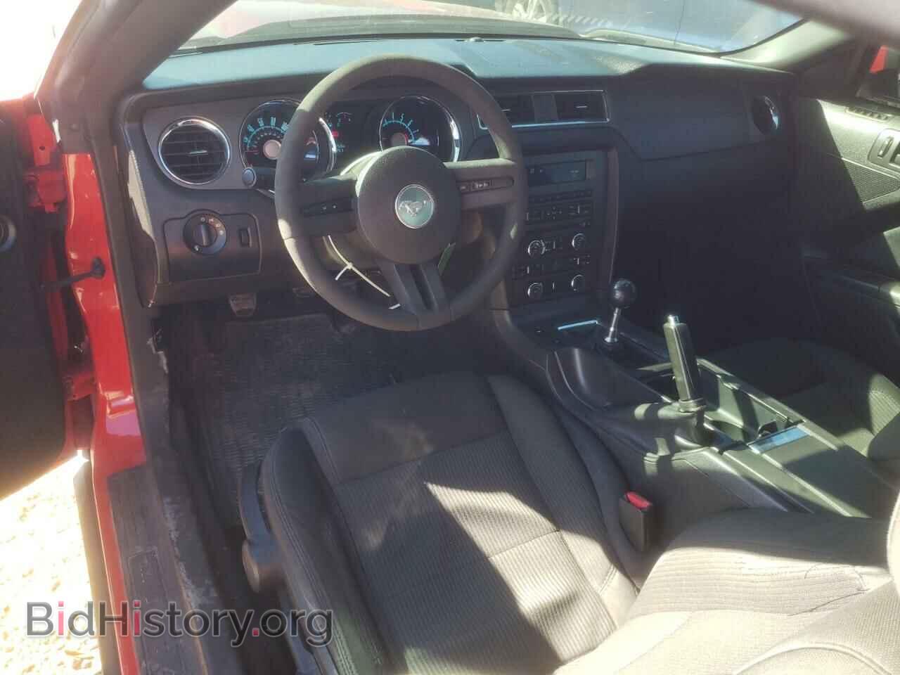 2010 FORD MUSTANG - VIN: 1ZVBP8CH8A5119517 - Фото 8