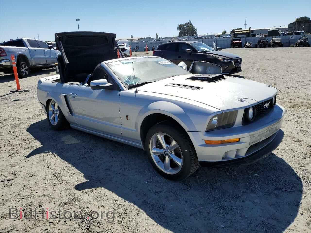 2006 FORD MUSTANG - VIN: 1ZVFT85H565230074 - Фото 4