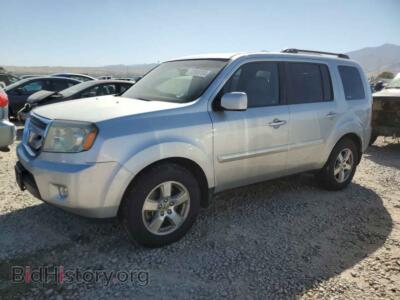 2009 Honda PILOT EXL, серебристый — VIN 5FNYF48599B050774, Copart