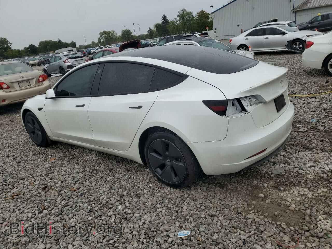 2023 TESLA MODEL 3 - VIN: 5YJ3E1EA9PF585646 - Photo 2