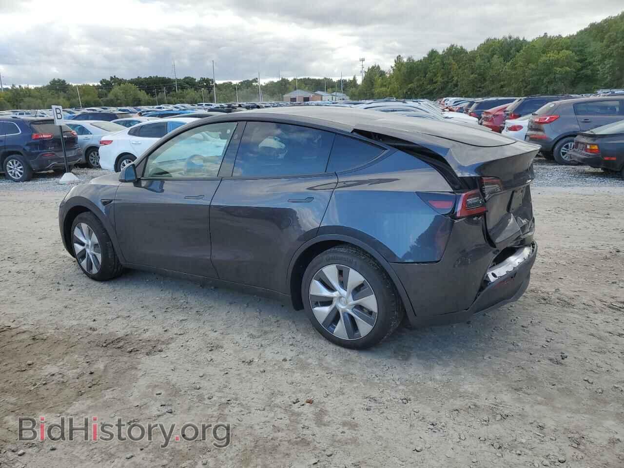 2024 TESLA MODEL Y - VIN: 7SAYGAEE4RF086536 - Фото 2