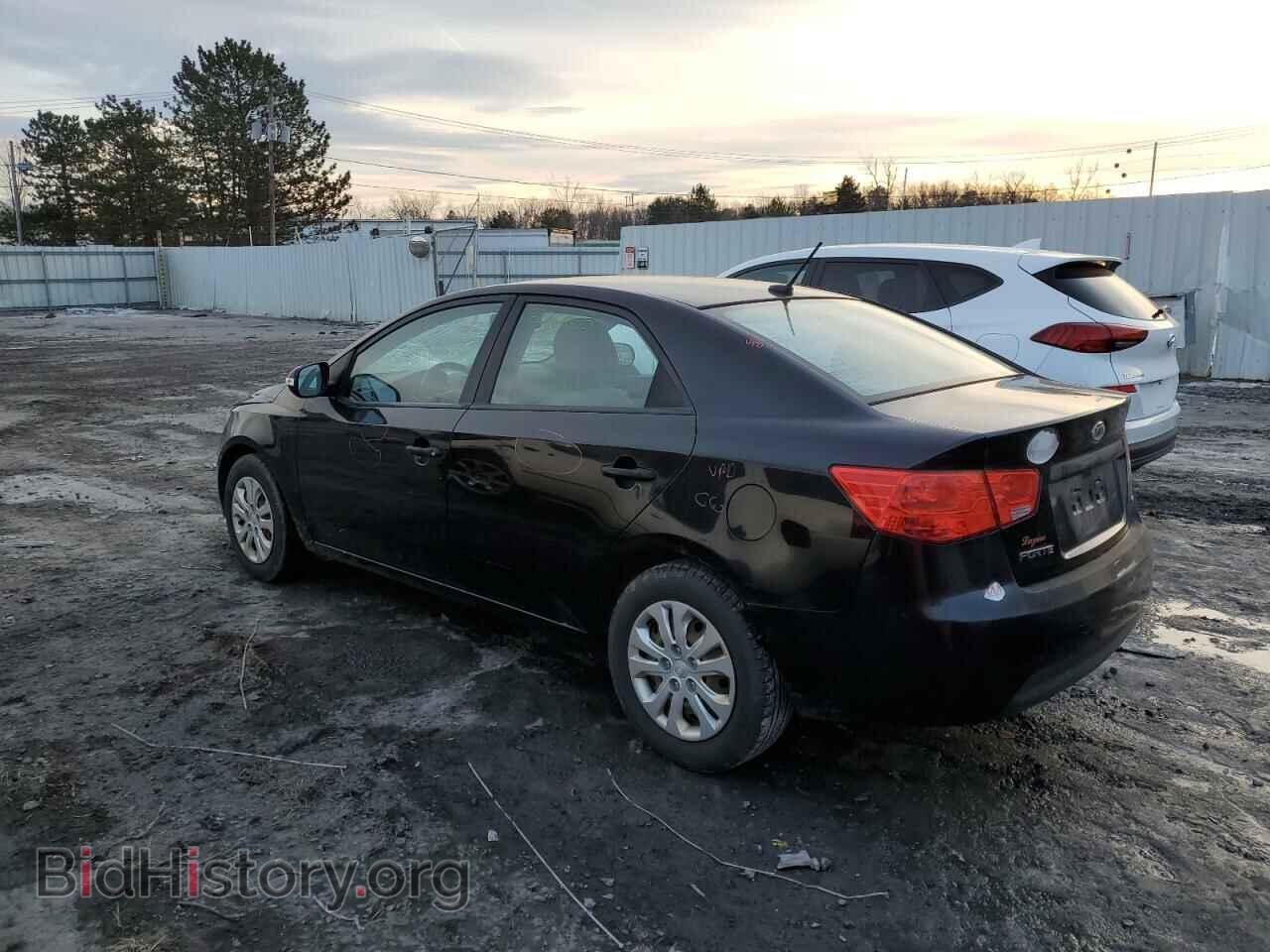 2010 KIA FORTE - VIN: KNAFU4A25A5241818 - Фото 2