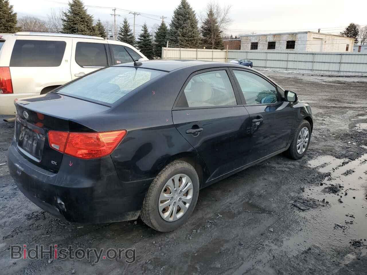 2010 KIA FORTE - VIN: KNAFU4A25A5241818 - Фото 3