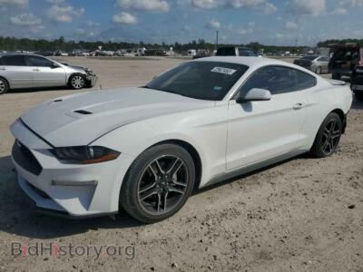 2020 Ford ALL MODELS Mustang, белый — VIN 1FA6P8TH4L5171336, Copart