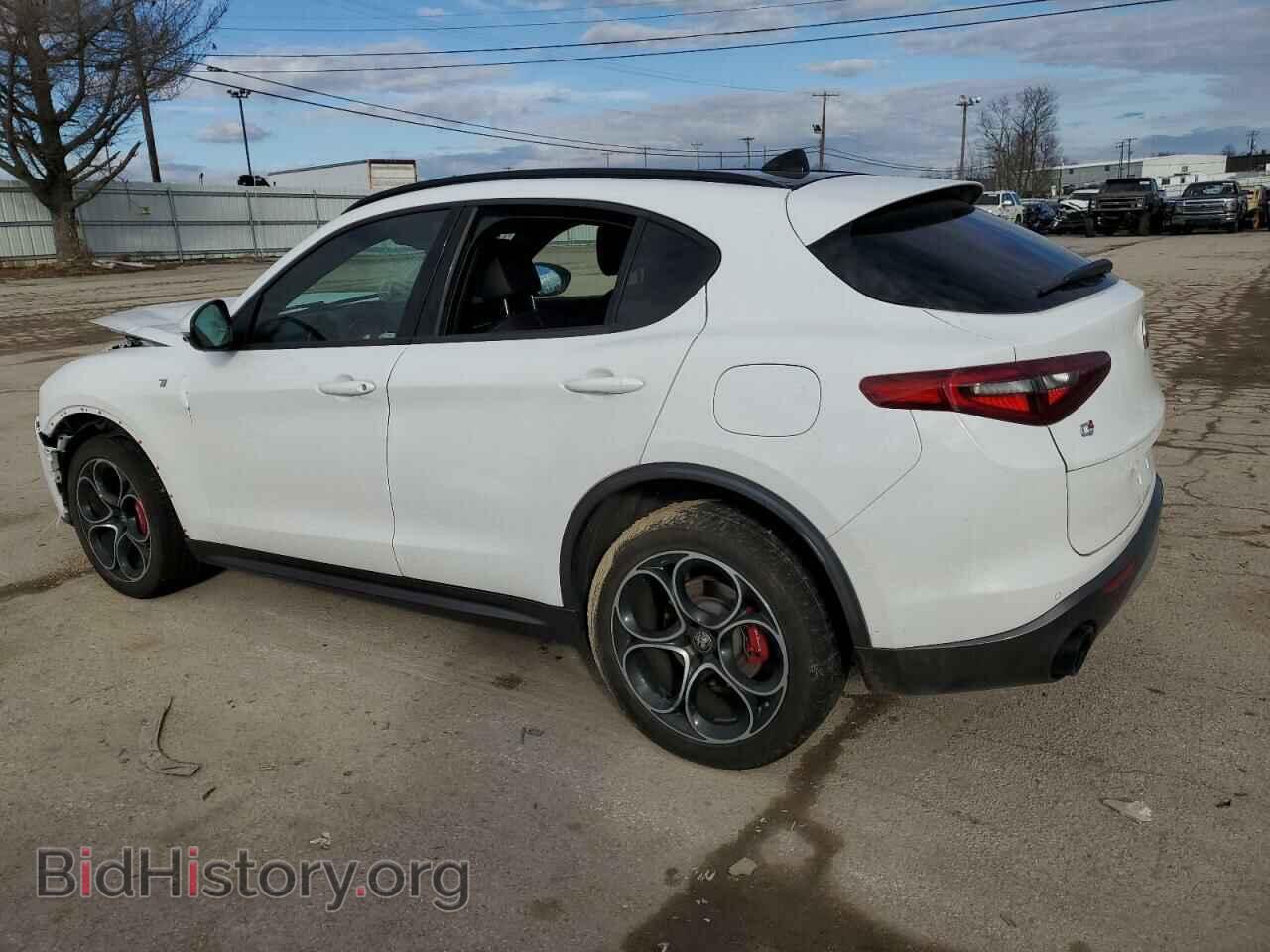 2022 ALFA ROMEO STELVIO - VIN: ZASPAKBN8N7D31432 - Фото 2
