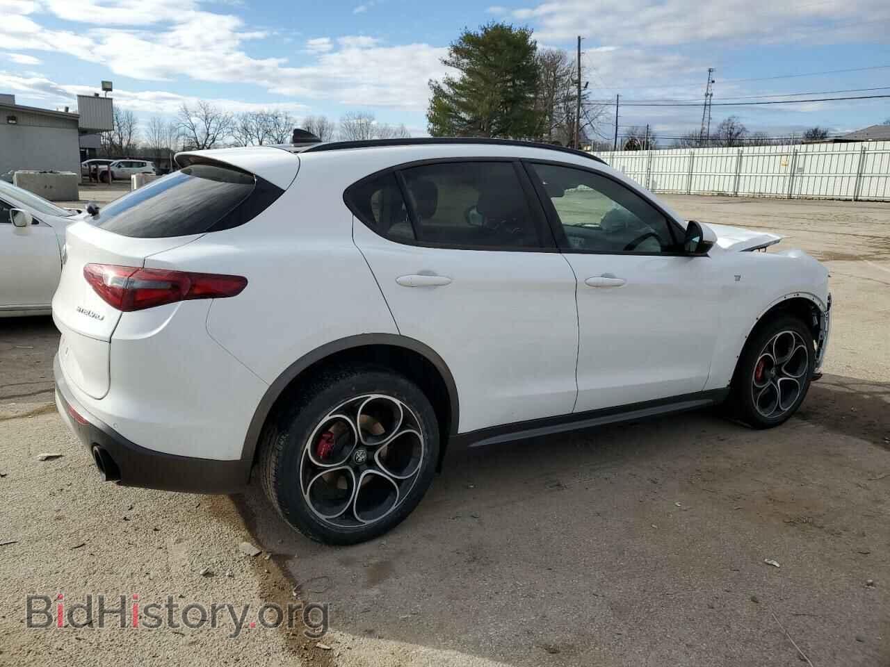 2022 ALFA ROMEO STELVIO - VIN: ZASPAKBN8N7D31432 - Фото 3