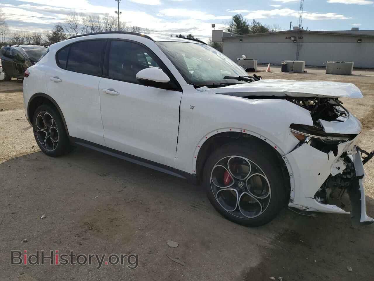 2022 ALFA ROMEO STELVIO - VIN: ZASPAKBN8N7D31432 - Фото 4