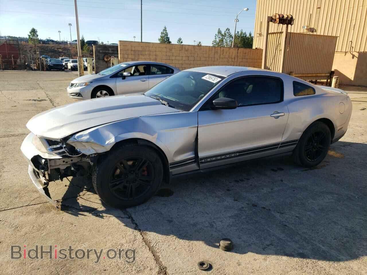 Фотография 1ZVBP8AM2C5262837 - FORD MUSTANG 2012