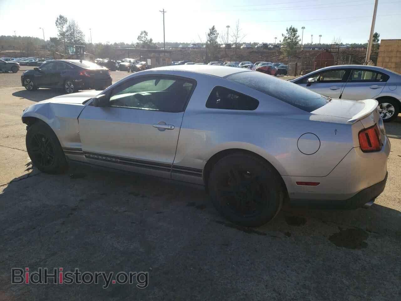 2012 FORD MUSTANG - VIN: 1ZVBP8AM2C5262837 - Фото 2