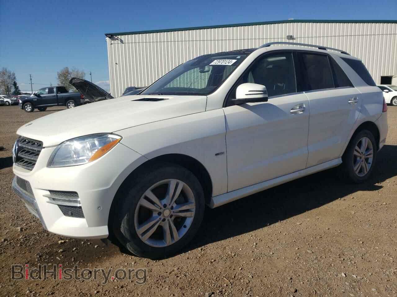 Photo 4JGDA2EB5CA030352 - MERCEDES-BENZ M-CLASS 2012