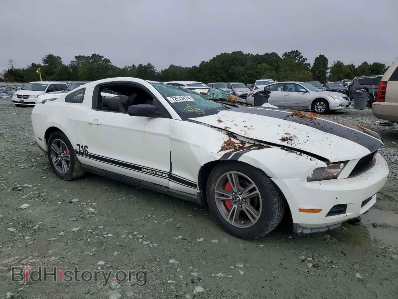 2010 FORD ALL Models - VIN: 1ZVBP8AN2A5160184 - Фото 4
