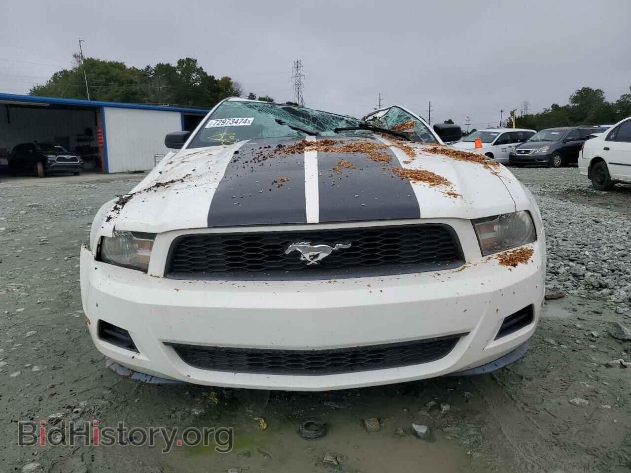 2010 FORD ALL Models - VIN: 1ZVBP8AN2A5160184 - Фото 5