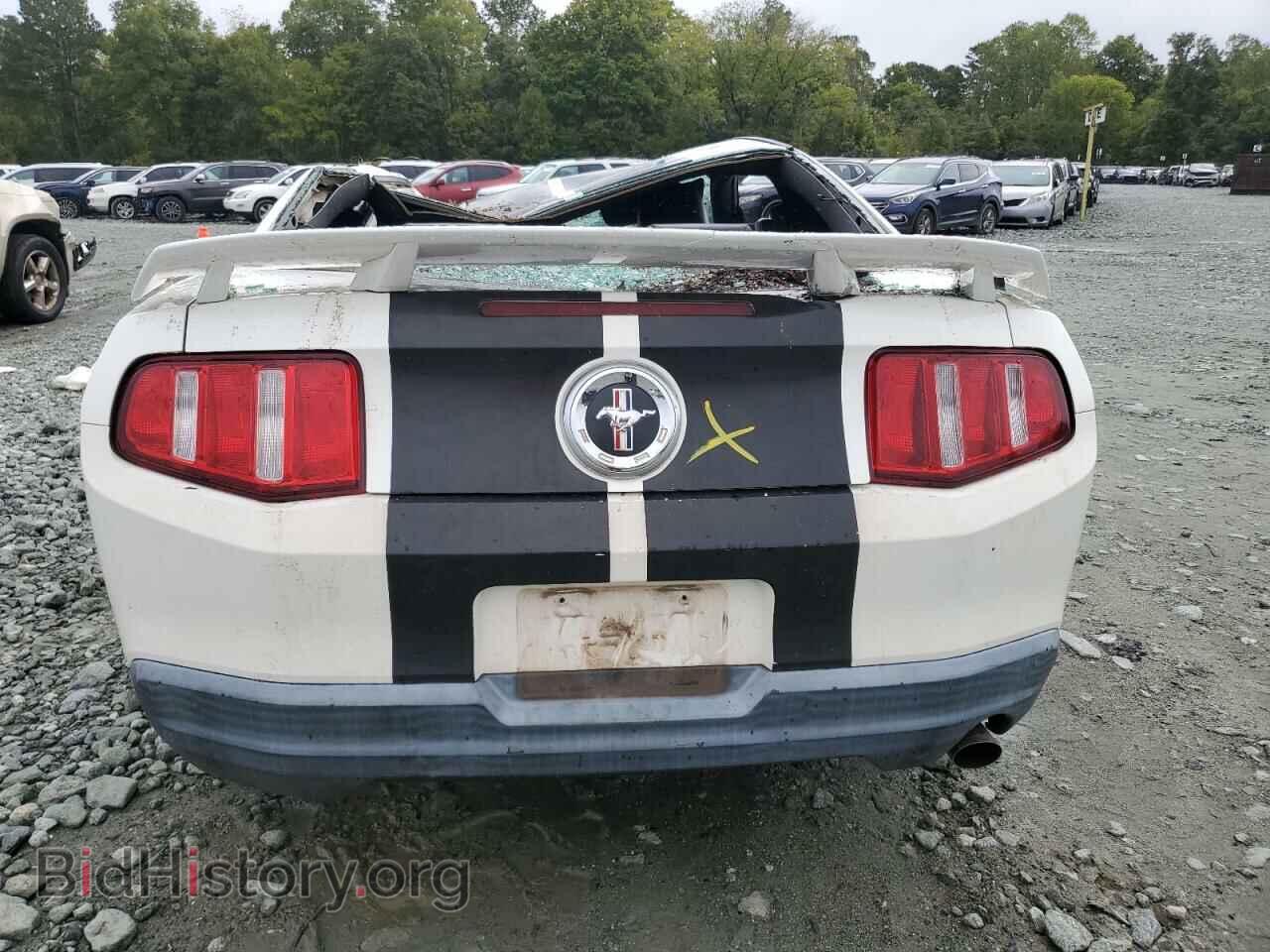2010 FORD ALL Models - VIN: 1ZVBP8AN2A5160184 - Фото 6