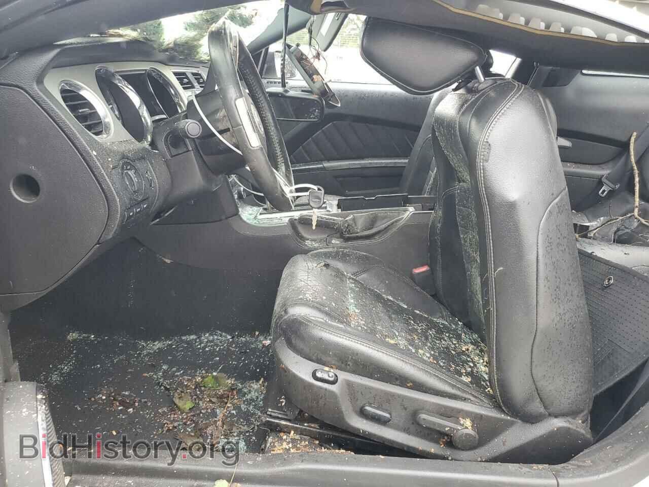 2010 FORD ALL Models - VIN: 1ZVBP8AN2A5160184 - Фото 7