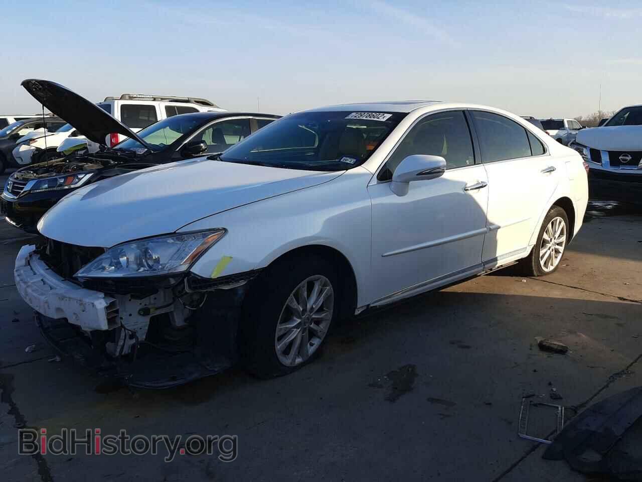 Photo JTHBK1EG7C2504700 - LEXUS ES350 2012