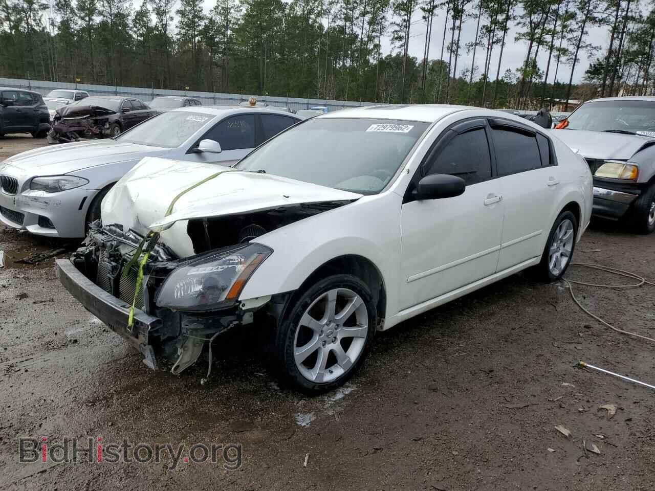 Photo 1N4BA41EX7C832354 - NISSAN MAXIMA 2007