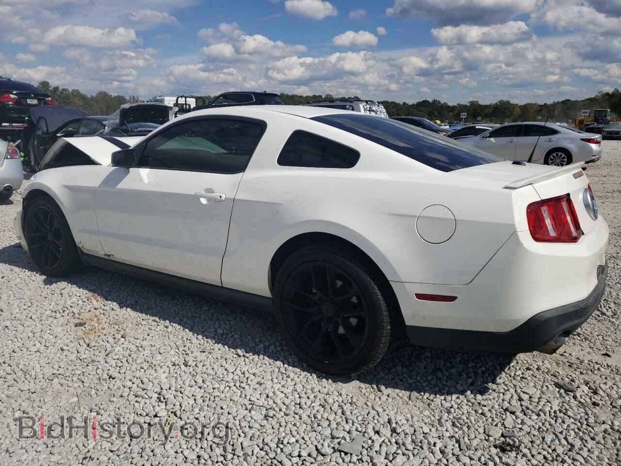 2012 FORD ALL Models - VIN: 1ZVBP8AM6C5204584 - Фото 2