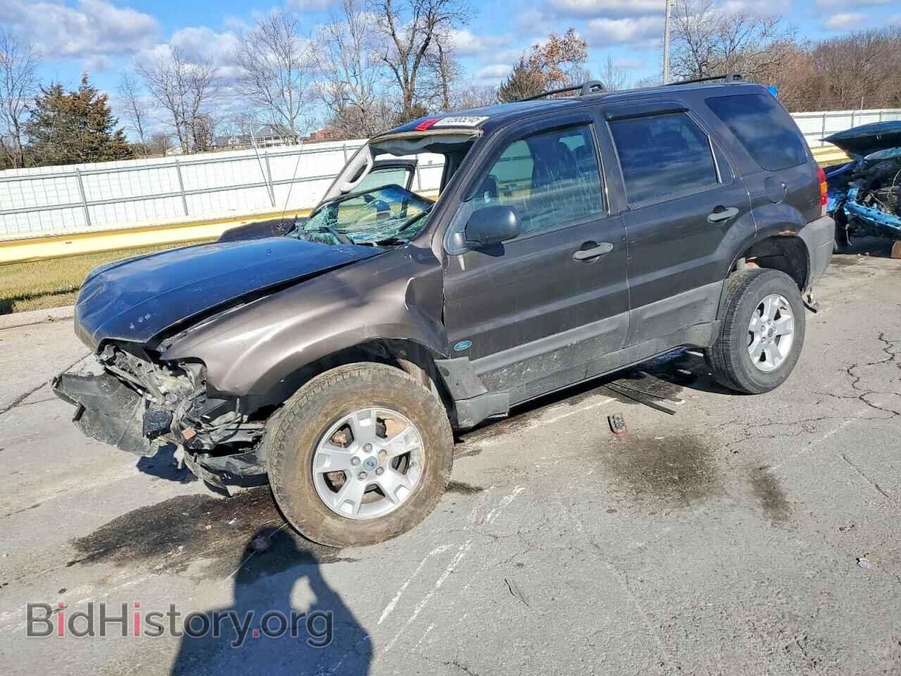 Photo 1FMYU03157KB33570 - FORD ESCAPE 2007