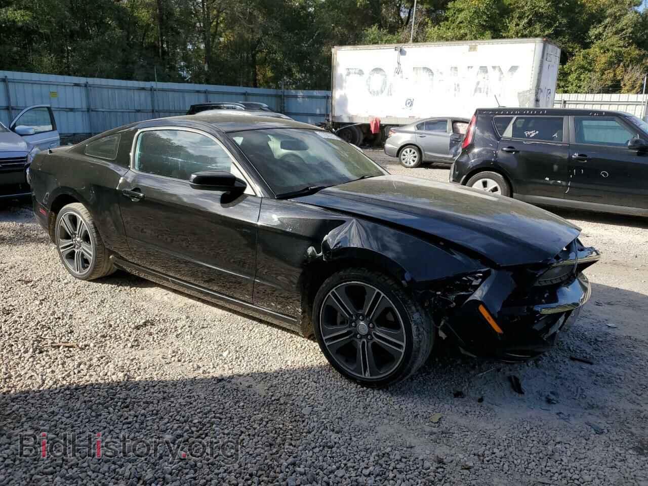 2013 FORD ALL Models - VIN: 1ZVBP8AM5D5200432 - Фото 4