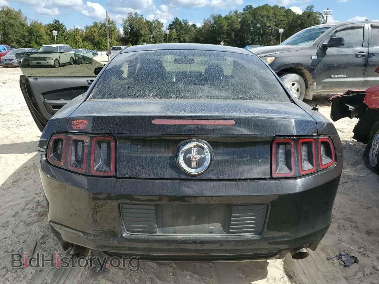 2013 FORD ALL Models - VIN: 1ZVBP8AM5D5200432 - Фото 6