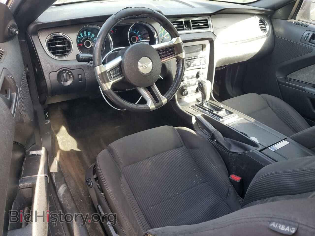 2013 FORD ALL Models - VIN: 1ZVBP8AM5D5200432 - Фото 8