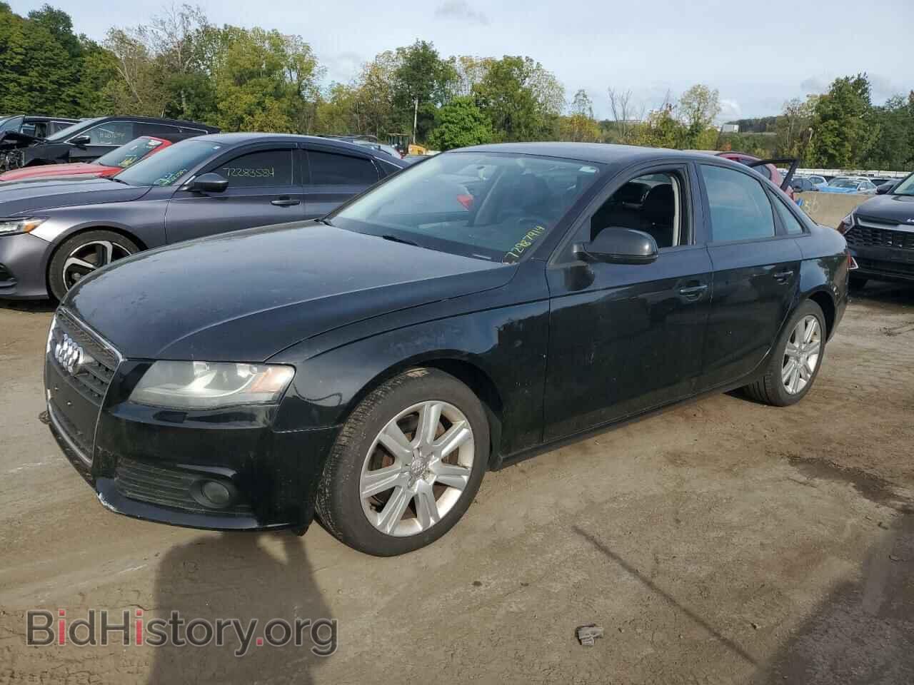 Фотография WAUBFAFL6AN067797 - AUDI A4 2010