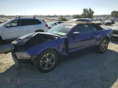 2013 Ford ALL MODELS, blue — VIN 1ZVBP8EM7D5264823, Copart