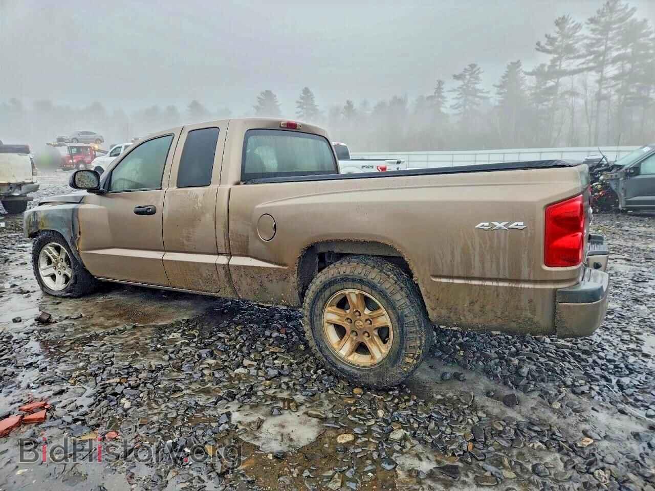 2010 DODGE DAKOTA - VIN: 1D7RW3BP4AS223333 - Фото 2