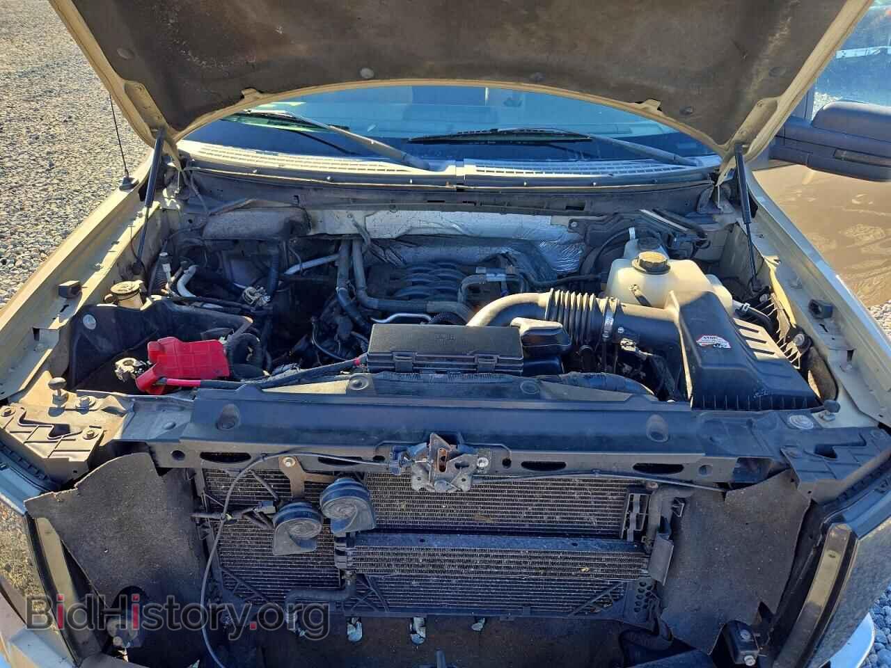 2011 FORD F150 - VIN: 1FTFX1EFXBFA54706 - Фото 11
