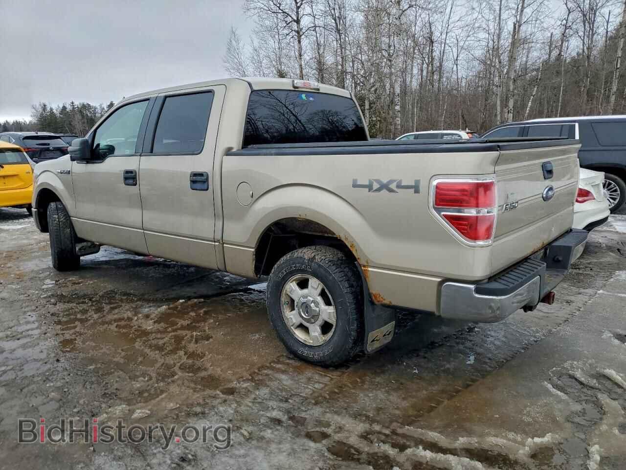 2009 FORD F-150 - VIN: 1FTPW14V59FB35722 - Фото 2