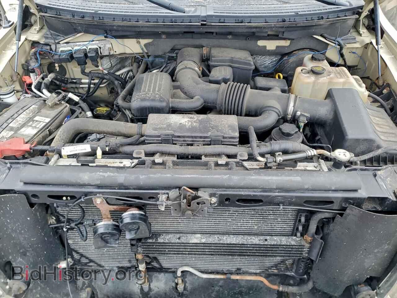 2009 FORD F-150 - VIN: 1FTPW14V59FB35722 - Фото 11